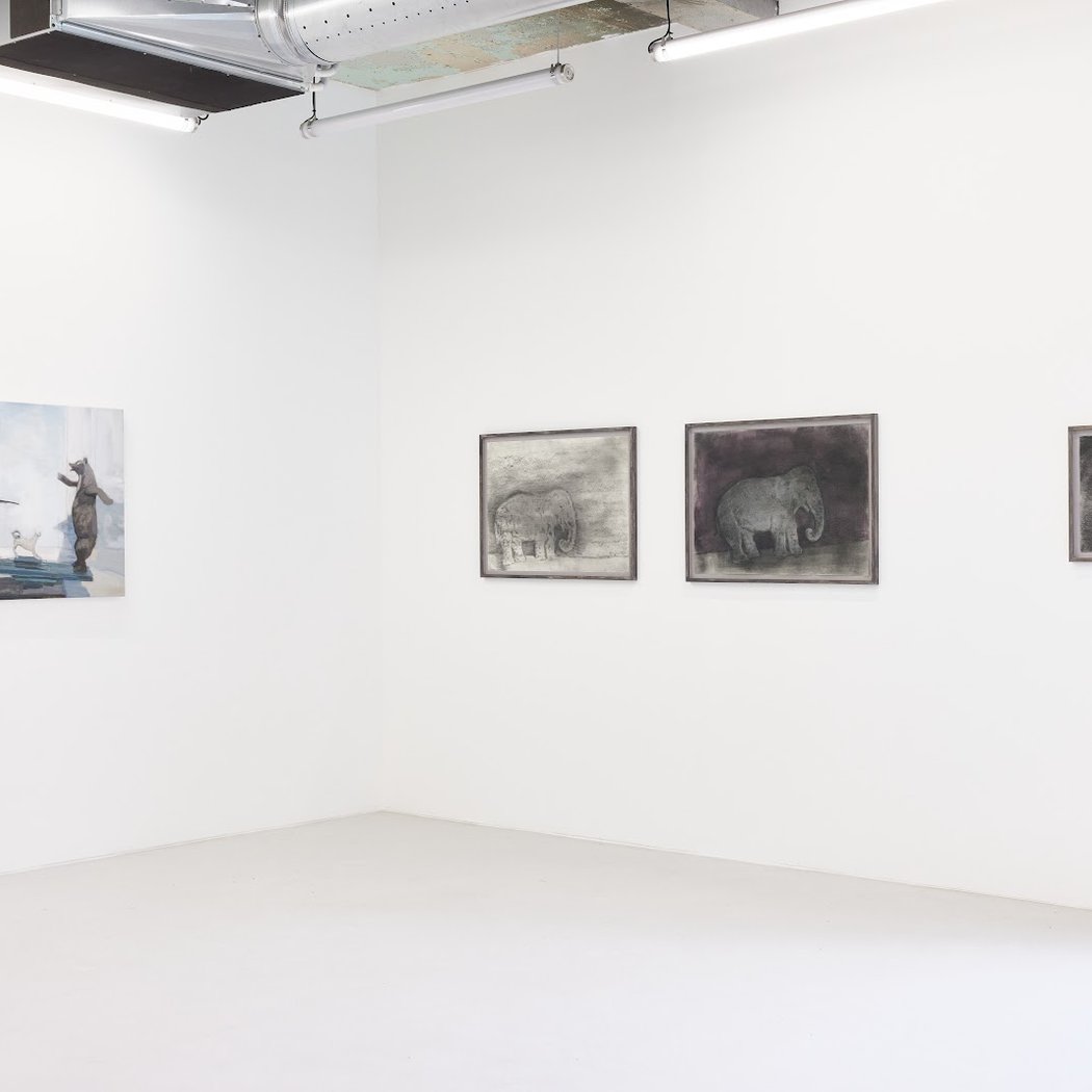 Iragui Gallery 2